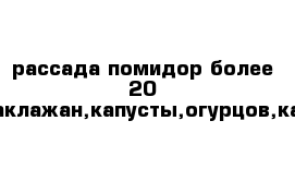 рассада помидор более 20 сортов,перца,баклажан,капусты,огурцов,кабачков,цветов